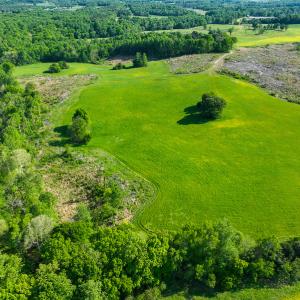 Photo #15 of On Bethel South Fork Road, Snow Camp, NC 76.3 acres