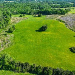 Photo #19 of On Bethel South Fork Road, Snow Camp, NC 76.3 acres