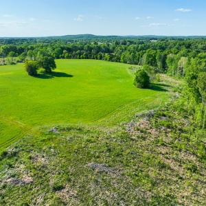 Photo #21 of On Bethel South Fork Road, Snow Camp, NC 76.3 acres