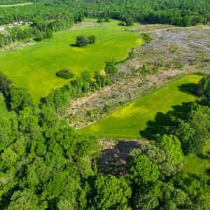 Photo #2 of On Bethel South Fork Road, Snow Camp, NC 76.3 acres