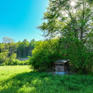 Photo #24 of On Bethel South Fork Road, Snow Camp, NC 76.3 acres
