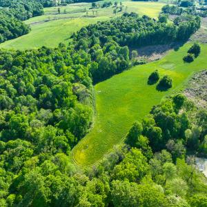 Photo #25 of On Bethel South Fork Road, Snow Camp, NC 76.3 acres