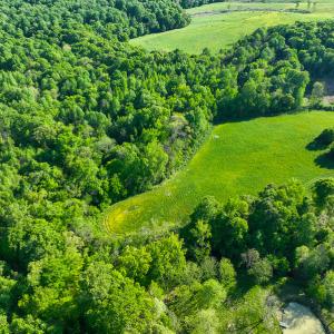 Photo #29 of On Bethel South Fork Road, Snow Camp, NC 76.3 acres