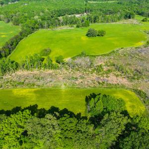 Photo #30 of On Bethel South Fork Road, Snow Camp, NC 76.3 acres