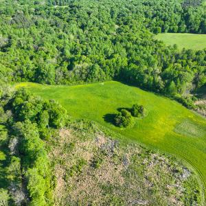Photo #31 of On Bethel South Fork Road, Snow Camp, NC 76.3 acres