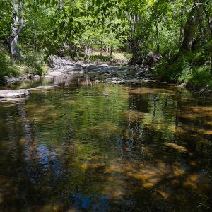 Photo #32 of On Bethel South Fork Road, Snow Camp, NC 76.3 acres