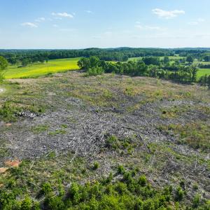 Photo #34 of On Bethel South Fork Road, Snow Camp, NC 76.3 acres
