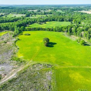 Photo #35 of On Bethel South Fork Road, Snow Camp, NC 76.3 acres