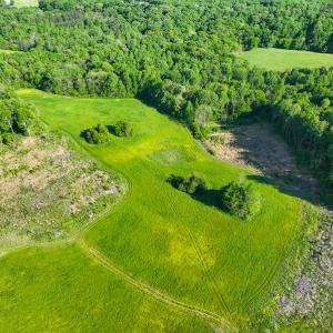Photo #36 of On Bethel South Fork Road, Snow Camp, NC 76.3 acres