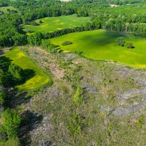 Photo #37 of On Bethel South Fork Road, Snow Camp, NC 76.3 acres