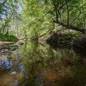 Photo #38 of On Bethel South Fork Road, Snow Camp, NC 76.3 acres