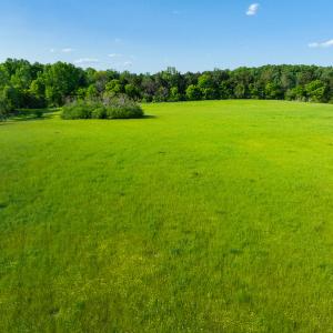Photo #39 of On Bethel South Fork Road, Snow Camp, NC 76.3 acres