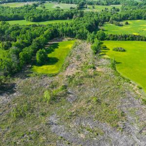 Photo #40 of On Bethel South Fork Road, Snow Camp, NC 76.3 acres