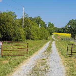 Photo #41 of On Bethel South Fork Road, Snow Camp, NC 76.3 acres