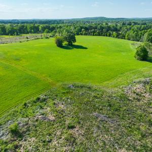 Photo #43 of On Bethel South Fork Road, Snow Camp, NC 76.3 acres