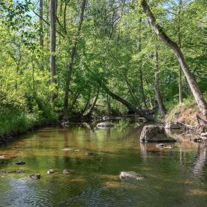 Photo #45 of On Bethel South Fork Road, Snow Camp, NC 76.3 acres