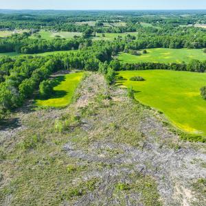 Photo #47 of On Bethel South Fork Road, Snow Camp, NC 76.3 acres