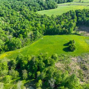 Photo #49 of On Bethel South Fork Road, Snow Camp, NC 76.3 acres