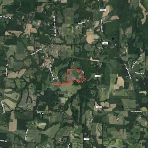 Photo #52 of On Bethel South Fork Road, Snow Camp, NC 76.3 acres