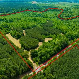 Photo #2 of SOLD property in Off Woodsdale Road & Hideaway Trail, Roxboro, NC 88.1 acres