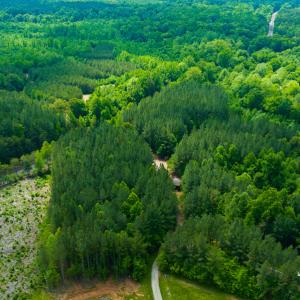 Photo #4 of SOLD property in Off Woodsdale Road & Hideaway Trail, Roxboro, NC 88.1 acres