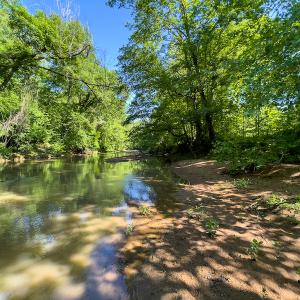Photo #5 of SOLD property in Off Woodsdale Road & Hideaway Trail, Roxboro, NC 88.1 acres