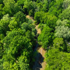 Photo #6 of SOLD property in Off Woodsdale Road & Hideaway Trail, Roxboro, NC 88.1 acres