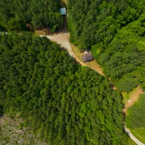 Photo #7 of SOLD property in Off Woodsdale Road & Hideaway Trail, Roxboro, NC 88.1 acres