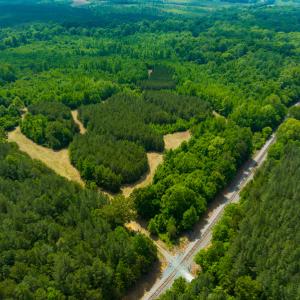 Photo #9 of SOLD property in Off Woodsdale Road & Hideaway Trail, Roxboro, NC 88.1 acres