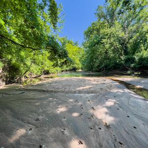 Photo #11 of SOLD property in Off Woodsdale Road & Hideaway Trail, Roxboro, NC 88.1 acres