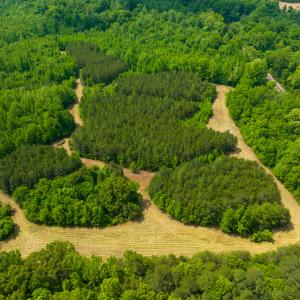 Photo #12 of SOLD property in Off Woodsdale Road & Hideaway Trail, Roxboro, NC 88.1 acres