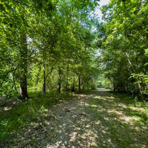 Photo #14 of SOLD property in Off Woodsdale Road & Hideaway Trail, Roxboro, NC 88.1 acres