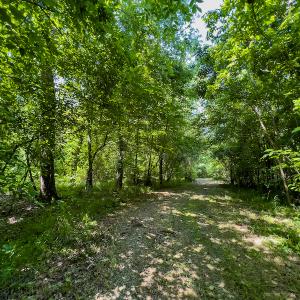 Photo #14 of Off Woodsdale Road & Hideaway Trail, Roxboro, NC 88.1 acres