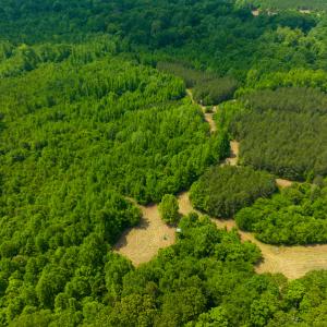 Photo #15 of SOLD property in Off Woodsdale Road & Hideaway Trail, Roxboro, NC 88.1 acres