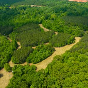 Photo #18 of SOLD property in Off Woodsdale Road & Hideaway Trail, Roxboro, NC 88.1 acres