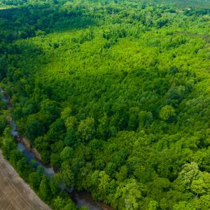 Photo #21 of SOLD property in Off Woodsdale Road & Hideaway Trail, Roxboro, NC 88.1 acres