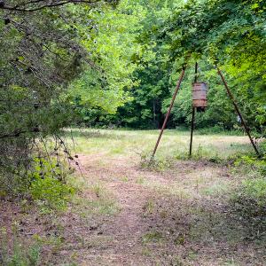 Photo #22 of SOLD property in Off Woodsdale Road & Hideaway Trail, Roxboro, NC 88.1 acres