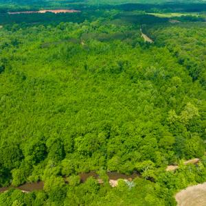 Photo #24 of SOLD property in Off Woodsdale Road & Hideaway Trail, Roxboro, NC 88.1 acres