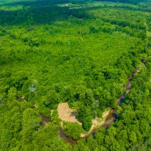 Photo #27 of SOLD property in Off Woodsdale Road & Hideaway Trail, Roxboro, NC 88.1 acres