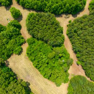 Photo #29 of SOLD property in Off Woodsdale Road & Hideaway Trail, Roxboro, NC 88.1 acres