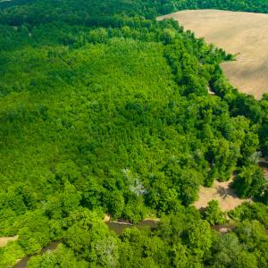Photo #30 of SOLD property in Off Woodsdale Road & Hideaway Trail, Roxboro, NC 88.1 acres