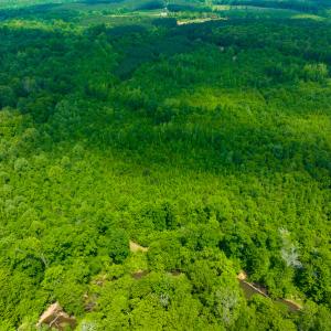 Photo #33 of SOLD property in Off Woodsdale Road & Hideaway Trail, Roxboro, NC 88.1 acres
