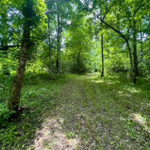 Photo #35 of SOLD property in Off Woodsdale Road & Hideaway Trail, Roxboro, NC 88.1 acres
