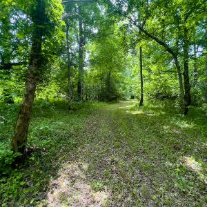 Photo #35 of Off Woodsdale Road & Hideaway Trail, Roxboro, NC 88.1 acres