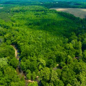 Photo #36 of SOLD property in Off Woodsdale Road & Hideaway Trail, Roxboro, NC 88.1 acres