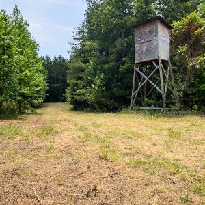 Photo #38 of SOLD property in Off Woodsdale Road & Hideaway Trail, Roxboro, NC 88.1 acres
