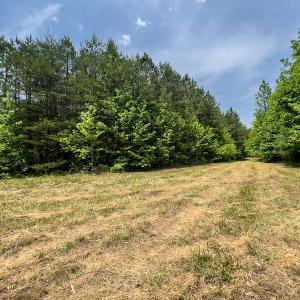Photo #40 of SOLD property in Off Woodsdale Road & Hideaway Trail, Roxboro, NC 88.1 acres