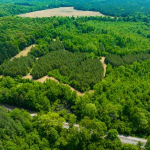 Photo #43 of SOLD property in Off Woodsdale Road & Hideaway Trail, Roxboro, NC 88.1 acres