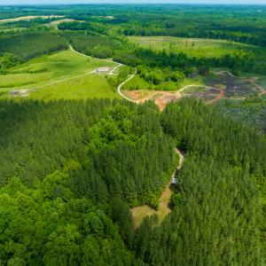 Photo #45 of SOLD property in Off Woodsdale Road & Hideaway Trail, Roxboro, NC 88.1 acres
