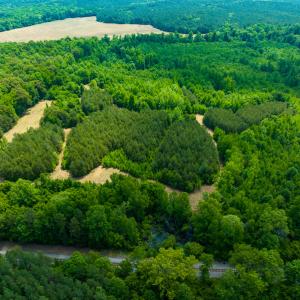 Photo #46 of SOLD property in Off Woodsdale Road & Hideaway Trail, Roxboro, NC 88.1 acres